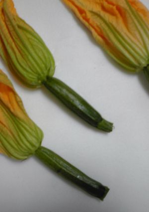 ズッキーニの花と実の天ぷら-レシピのメイン写真