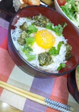 栄養満点☆しらす丼-レシピのメイン写真