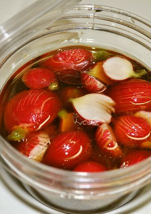簡単ラディッシュの甘酢漬け♪-レシピのメイン写真