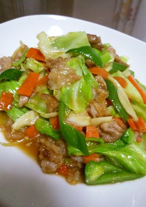 大好評❤肉野菜炒めの素-レシピのメイン写真