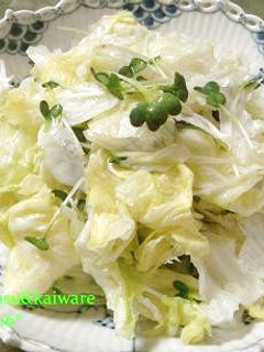 レタスとカイワレ大根のサラダ-レシピのメイン写真