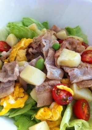 豚肉と野菜たっぷりサラダ2-レシピのメイン写真