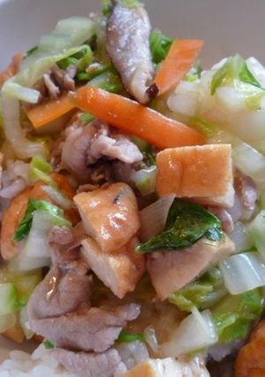豚肉と白菜の丼-レシピのメイン写真