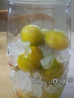 サワードリンク大好き☆★梅シロップ-レシピのメイン写真
