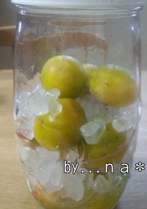 サワードリンク大好き☆★梅シロップ-レシピのメイン写真
