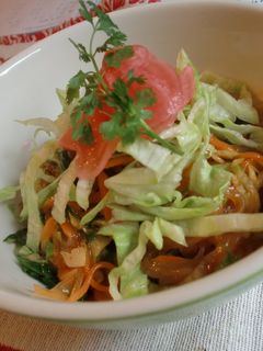 ピリ辛 野菜たっぷりの冷麺-レシピのメイン写真