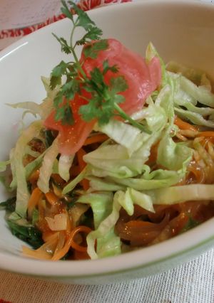 ピリ辛　野菜たっぷりの冷麺-レシピのメイン写真
