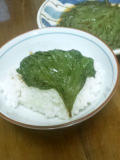 大葉の醤油漬け-レシピのメイン写真