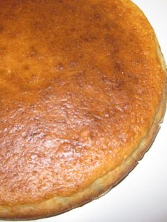 ヨーグルトチーズケーキ-レシピのメイン写真