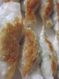 ヘルシーな豆腐とおからの餃子-レシピのメイン写真