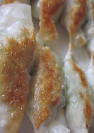 ヘルシーな豆腐とおからの餃子-レシピのメイン写真