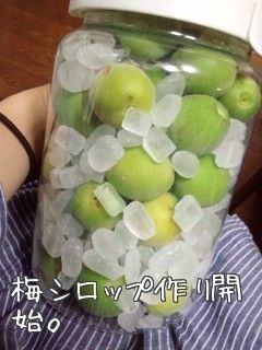冷凍穴あけ灰汁抜きなし超簡単◆梅シロップ-レシピのメイン写真