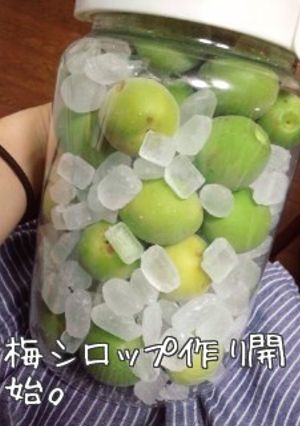 冷凍穴あけ灰汁抜きなし超簡単◆梅シロップ-レシピのメイン写真