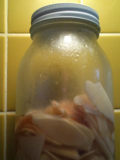 新生姜の甘酢漬け-レシピのメイン写真