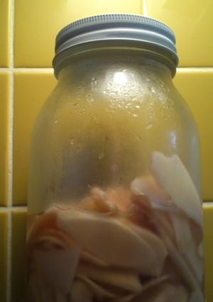 新生姜の甘酢漬け-レシピのメイン写真