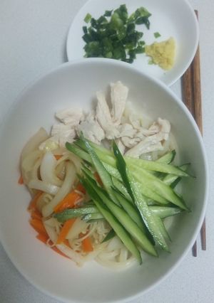 炒め野菜の冷やしぶっかけうどん-レシピのメイン写真