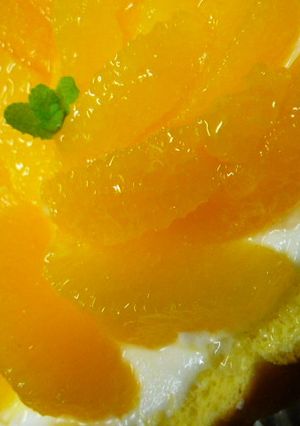 フロマージュブラン de チーズケーキ-レシピのメイン写真