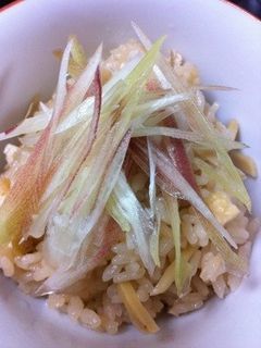 しょうがみょうがご飯-レシピのメイン写真