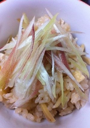 しょうがみょうがご飯-レシピのメイン写真