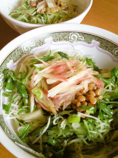 野菜たっぷり☆納豆素麺-レシピのメイン写真