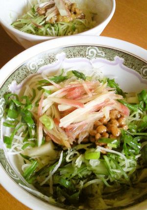 野菜たっぷり☆納豆素麺-レシピのメイン写真
