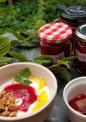 ゆすらうめジャム-レシピのメイン写真