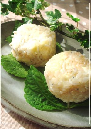 栄養花まる◎しらすチーズおにぎり-レシピのメイン写真