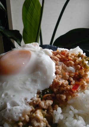 鶏挽肉で　ﾀｲ風目玉焼きのっけごはん♪-レシピのメイン写真