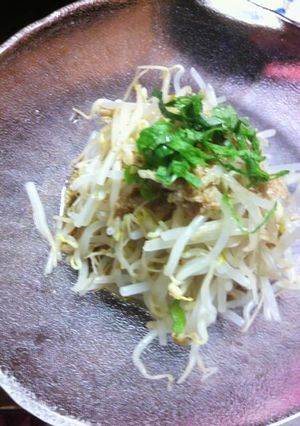 すばやく出来上がるもやしポン酢和え-レシピのメイン写真