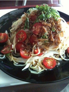 ベランダ 野菜で 冷やし中華 青じそ-レシピのメイン写真