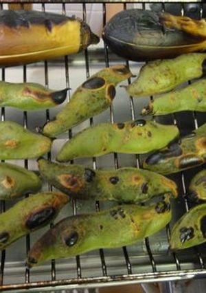 グリルで焼き？蒸し？ソラマメ-レシピのメイン写真