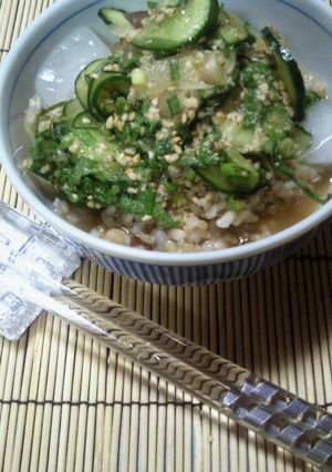 緑玄米♪ひんやり美味しい冷や汁かけご飯-レシピのメイン写真
