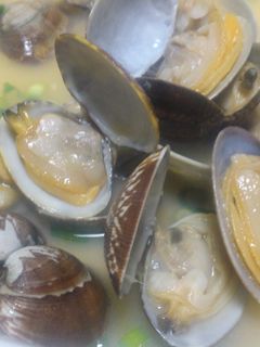 師匠のアサリ酒蒸し-レシピのメイン写真