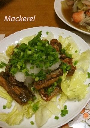 ★鯖ポン酢おろし★-レシピのメイン写真