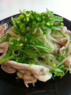 冷しゃぶ-レシピのメイン写真