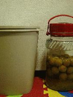 梅サワードリンク【人気検索トップ10入】-レシピのメイン写真