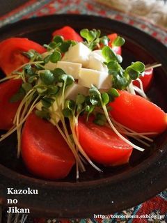 トマトと豆腐のさっぱりサラダ-レシピのメイン写真