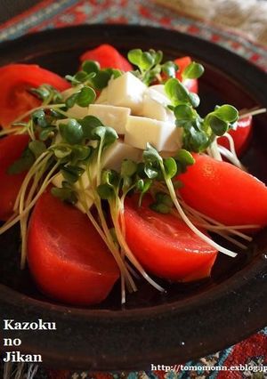 トマトと豆腐のさっぱりサラダ-レシピのメイン写真