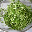 家にあるもので‼︎野菜の水切り