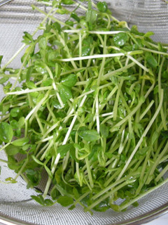 家にあるもので‼︎野菜の水切り-レシピのメイン写真