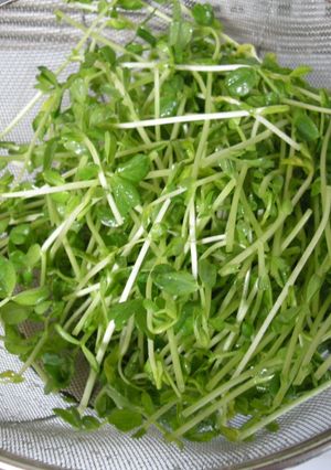 家にあるもので‼︎野菜の水切り-レシピのメイン写真