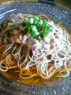 簡単!冷やし梅納豆そば★-レシピのメイン写真