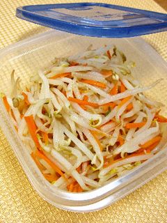 もやしの保存-レシピのメイン写真