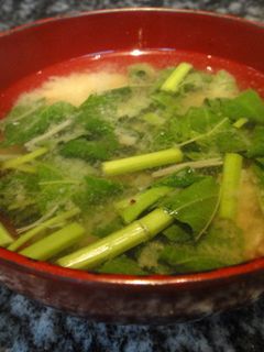 モロヘイヤの味噌汁♪いつもの味噌汁に♪-レシピのメイン写真