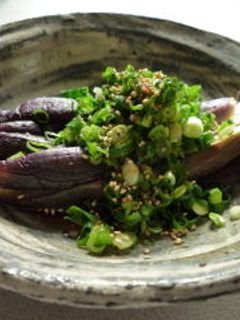 蒸し茄子の香味だれ-レシピのメイン写真
