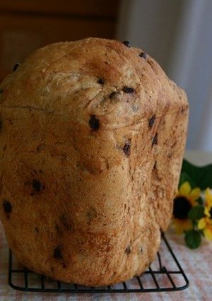 ＨＢチョコチップ食パン♪全粒粉入り-レシピのメイン写真