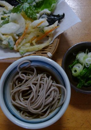 家庭菜園で　採れた材料で　天婦羅そば-レシピのメイン写真