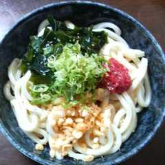 ＊　ぶっかけ♪梅★冷やしうどん　＊-レシピのメイン写真