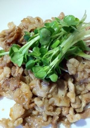 みんな大好き！しょうが焼き☆-レシピのメイン写真