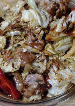 うちの回鍋肉-レシピのメイン写真